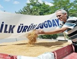 Polatlı’da ilk buğday satıldı
