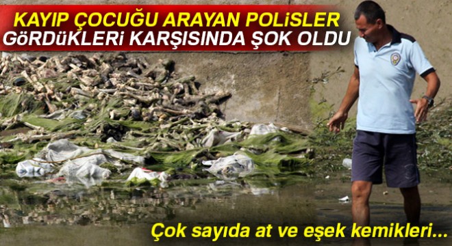 At ve eşekleri kesip kemiklerini sulama kanalına attılar