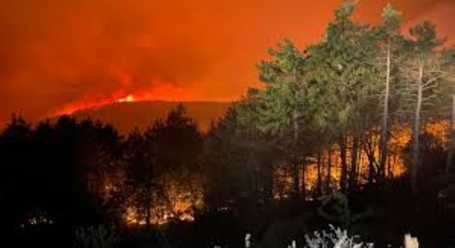 Bakanlar Çiftçi ve Yumaklı’dan Orman Yangınlarına Karşı Koordinasyon Vurgusu