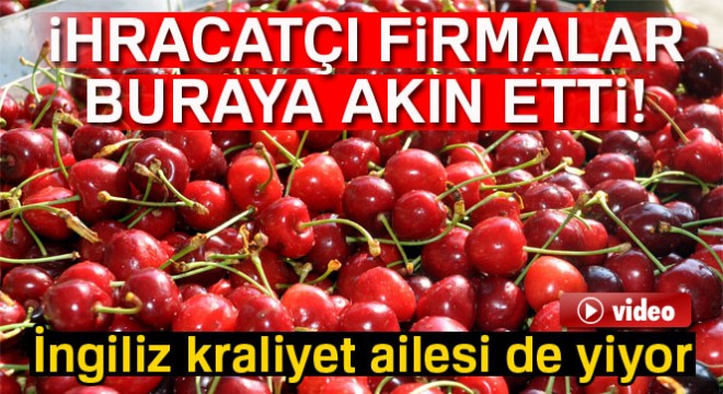 Kiraz borsası Türkiye de bu köyde kuruluyor