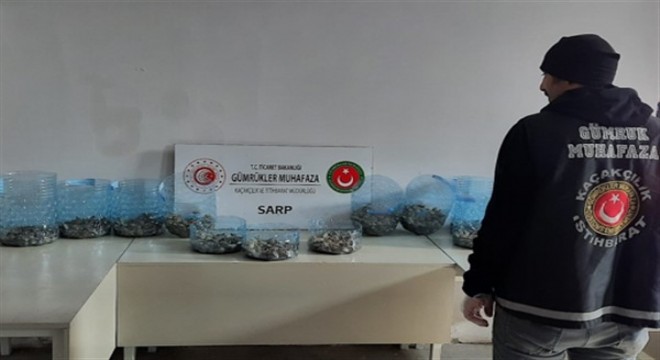 Sarp Sınır Kapısı’nda su kaplumbağası yakalandı