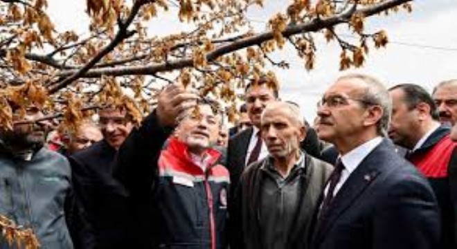 Yumaklı: Zirai Donun Etkilediği 16 Meyve İçin TARSİM Ödemesi Yapılacak